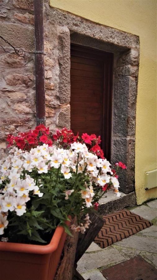 Borgo Di Codeglia - Country Rooms Riccò del Golfo di Spezia Exterior foto